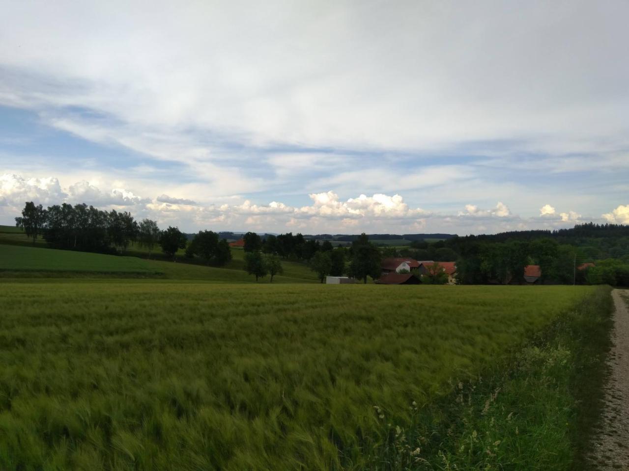 Gasthaus Schachinger Tumeltsham Экстерьер фото